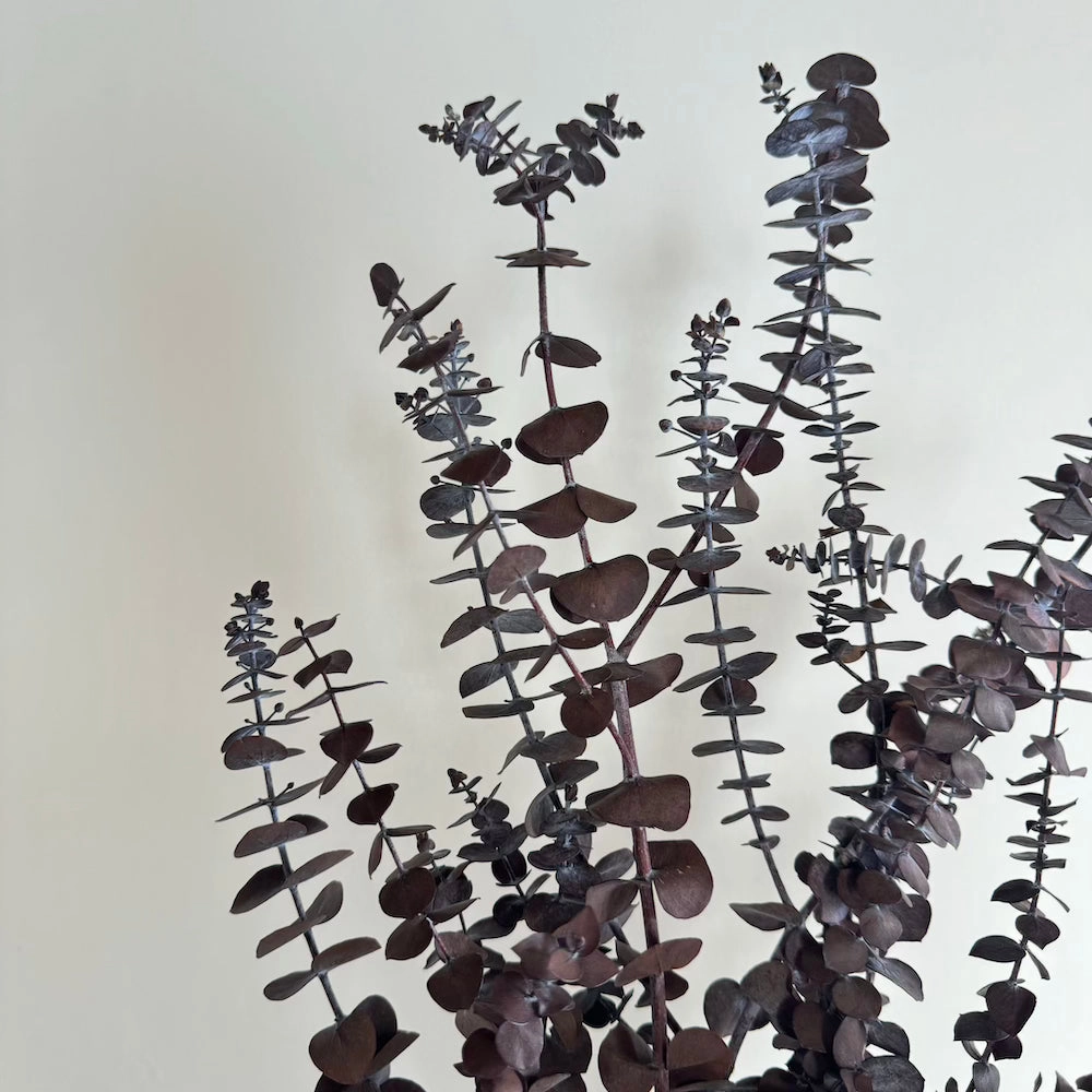 Botte Eucalyptus Baby Bordeaux
