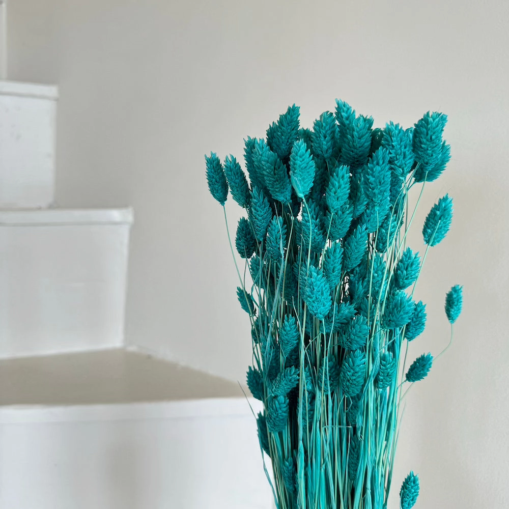 Botte Phalaris Turquoise