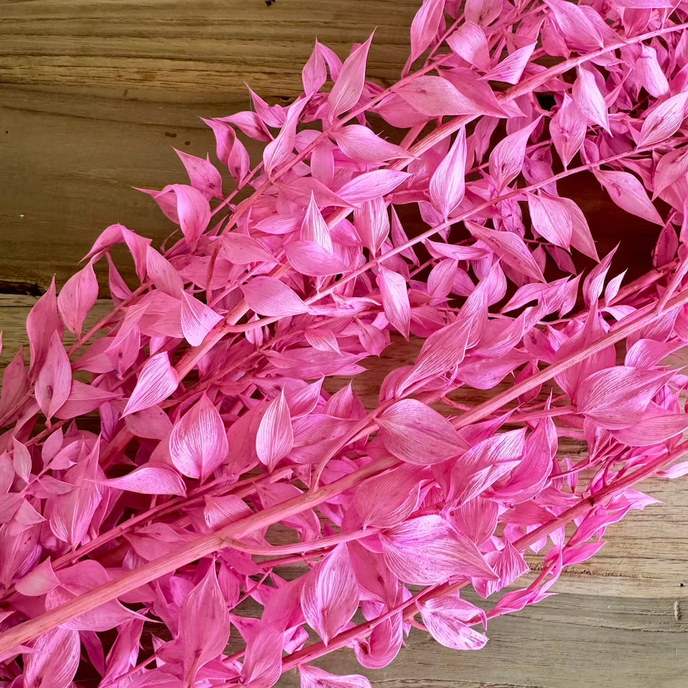 Botte Ruscus Lilas