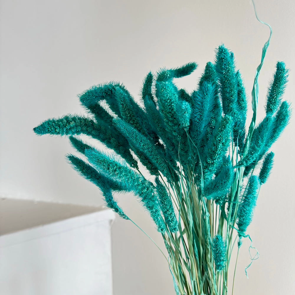 Botte Staire Turquoise