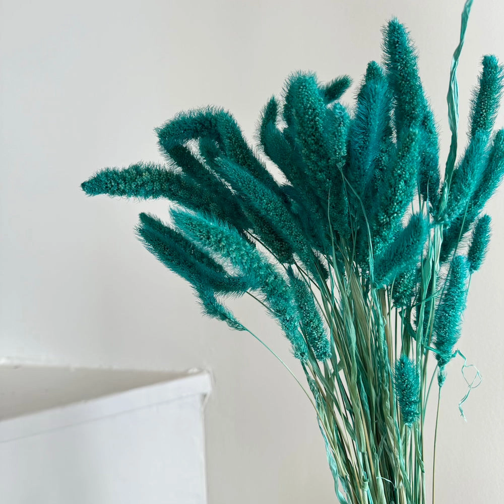 Botte Staire Turquoise