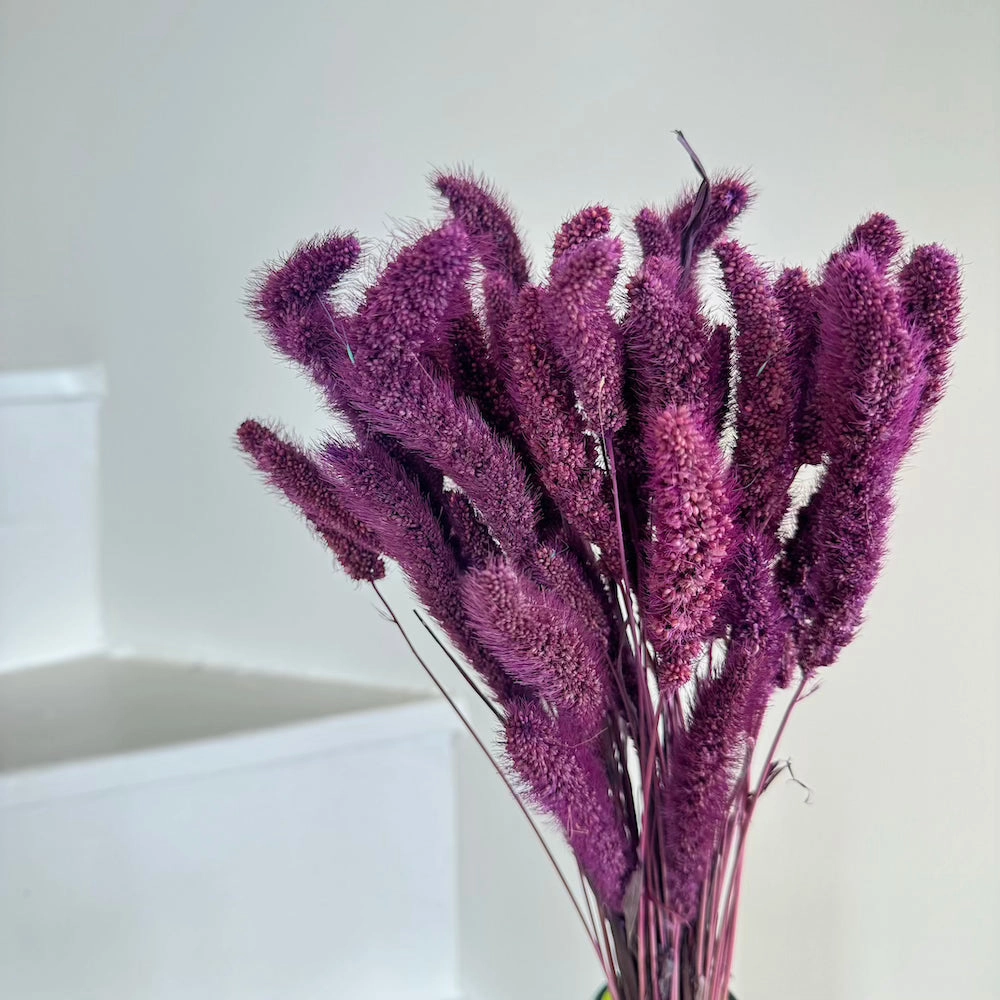 Botte Staire Violet