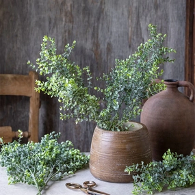 Boxwood Stem 72cm,dried artificial flower