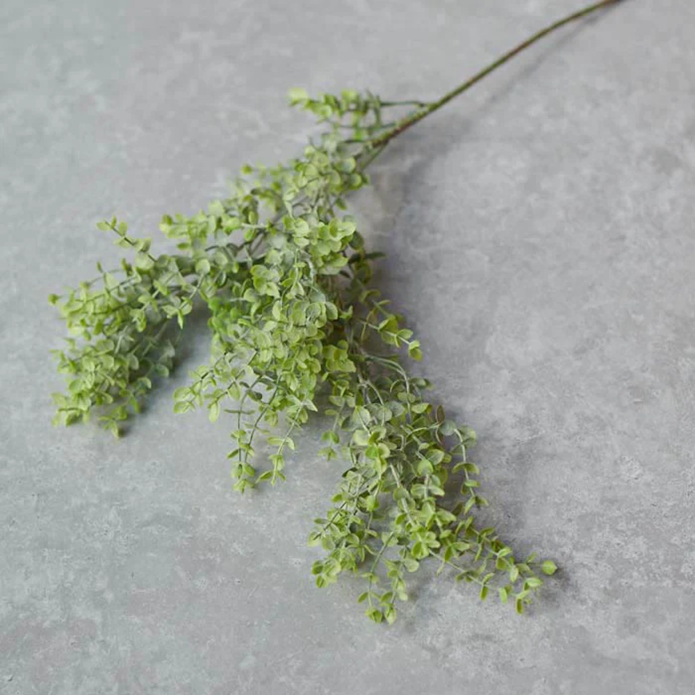 Boxwood Stem 72cm
