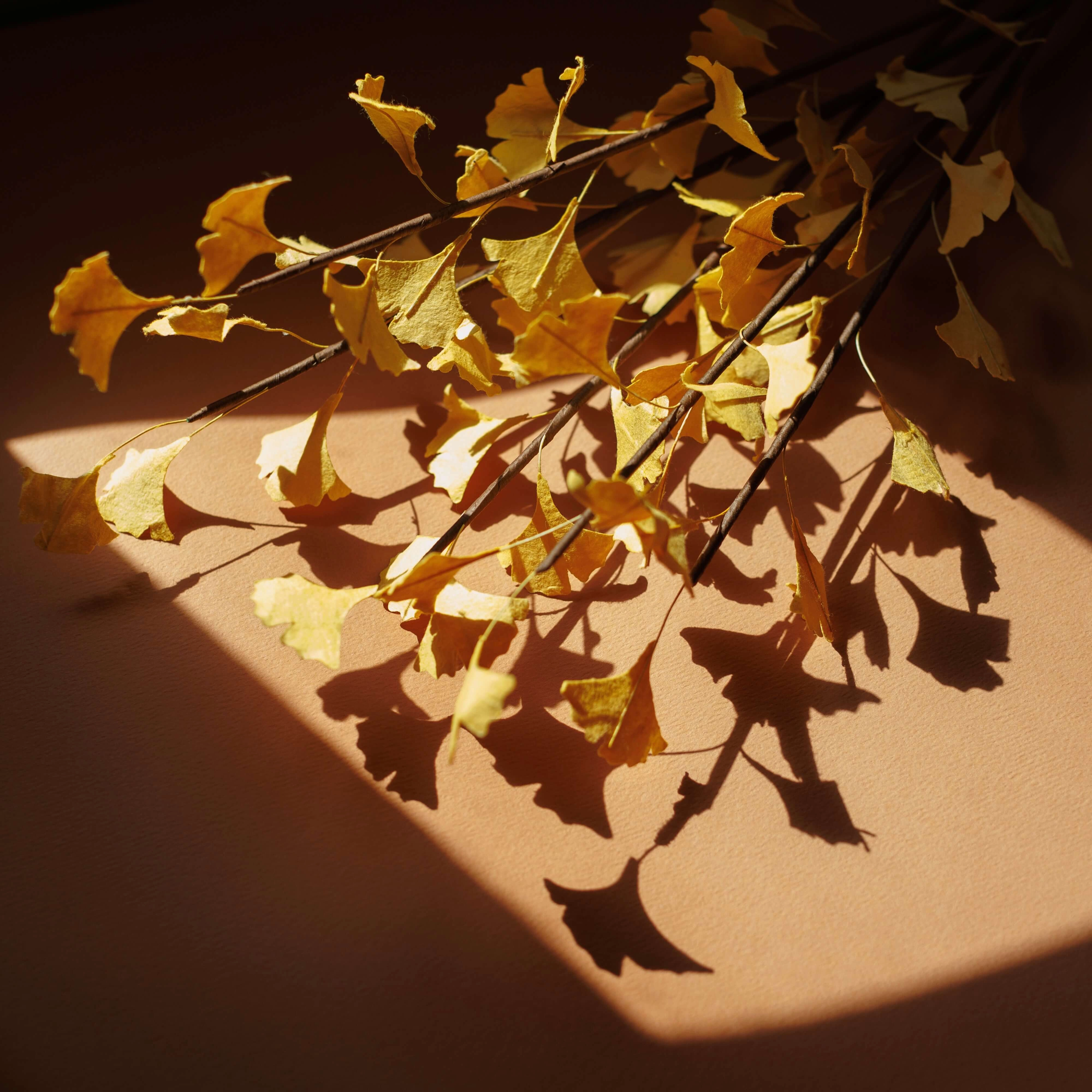 Branche de gingko en papier jaune