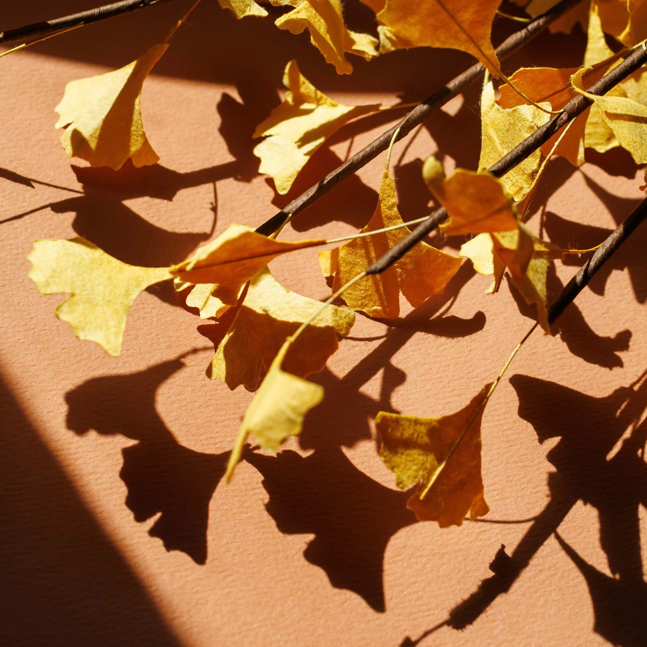 Branche de gingko en papier jaune