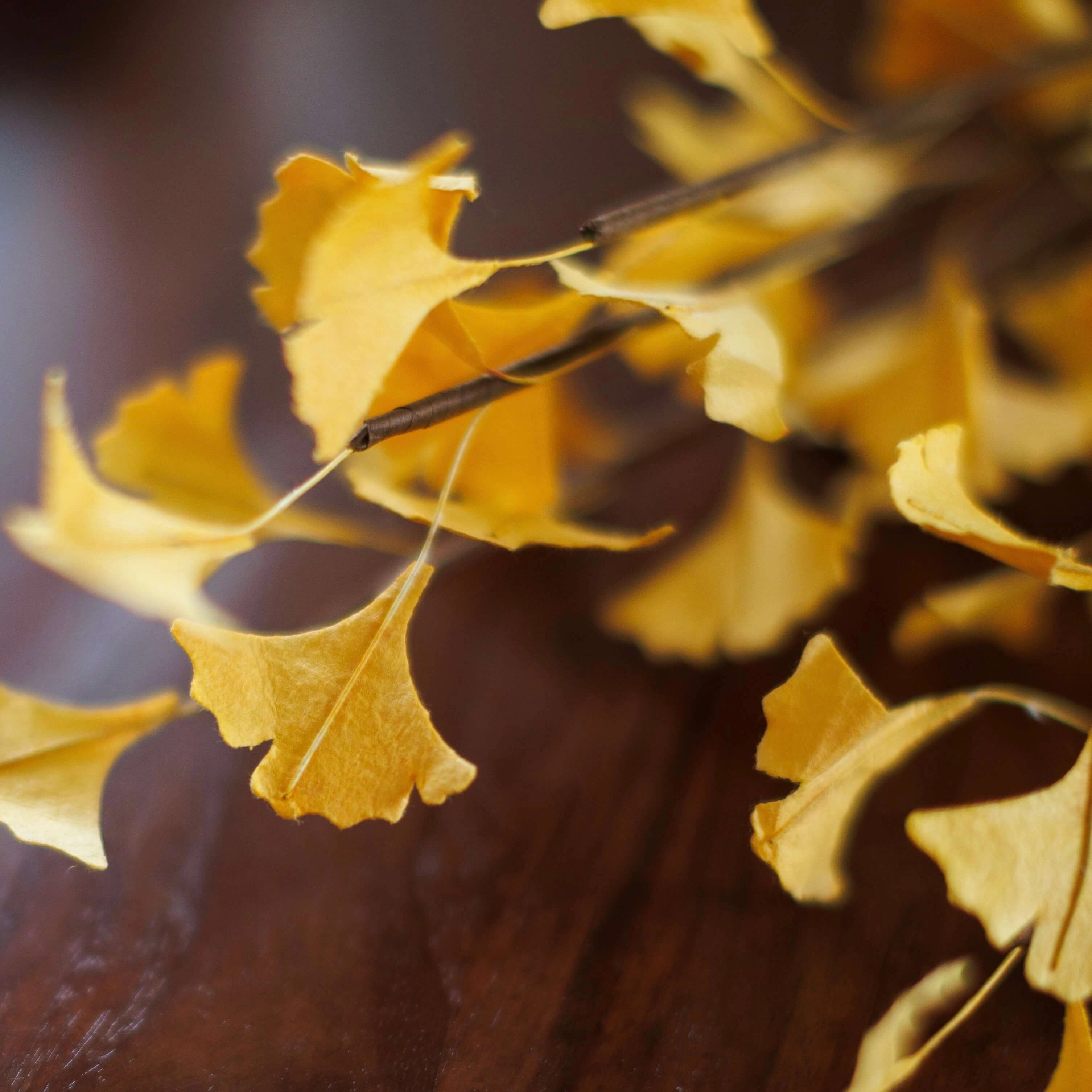 Branche de gingko en papier jaune