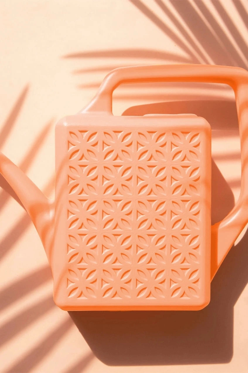 Breeze Block Watering Peach
