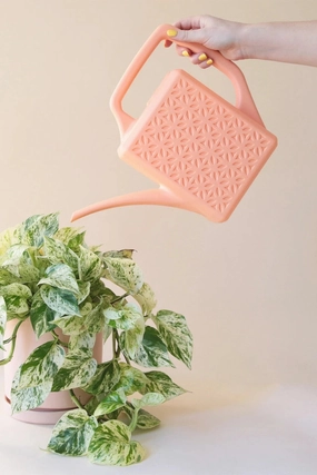 Breeze Block Watering Peach,potted plant decor