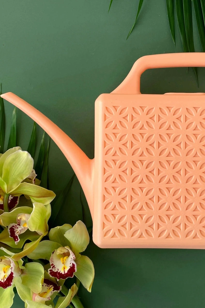Breeze Block Watering Peach