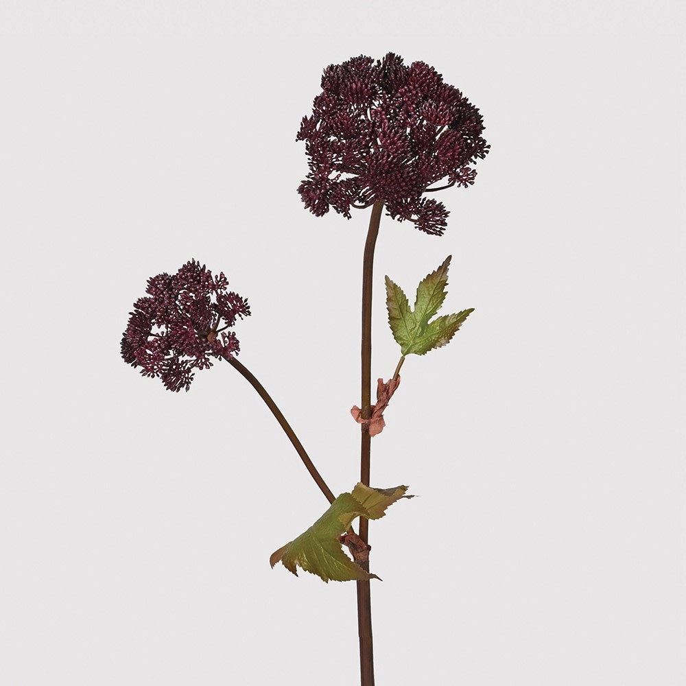 Burgundy Angelica Seed Head with Leaves 95cm,dried artificial flower