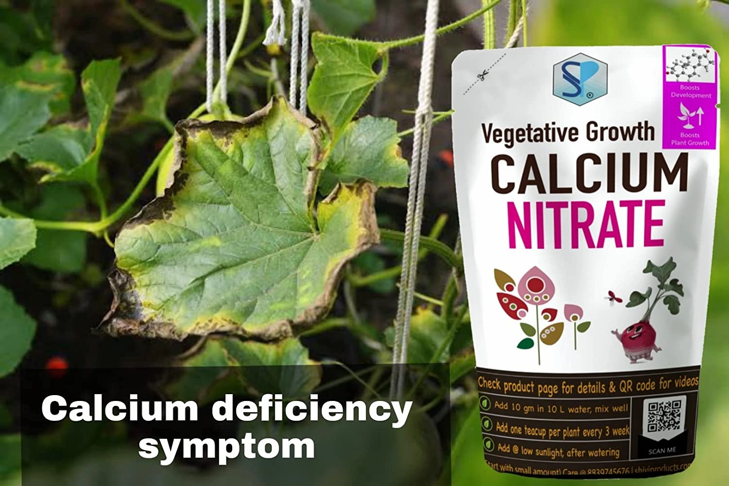 Calcium Nitrate Fertilizer