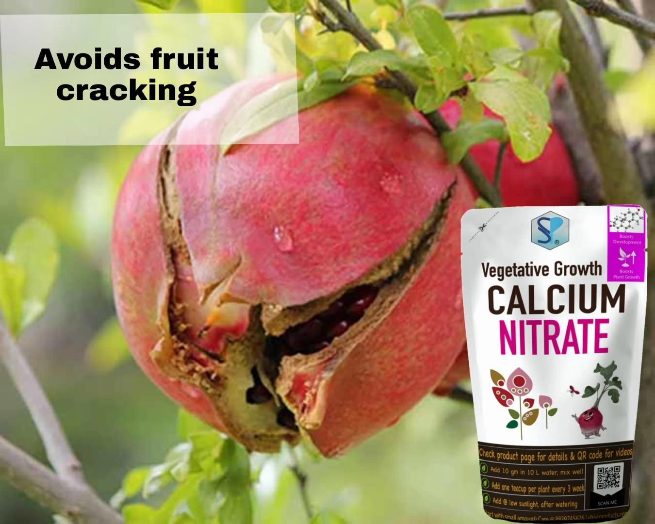 Calcium Nitrate Fertilizer