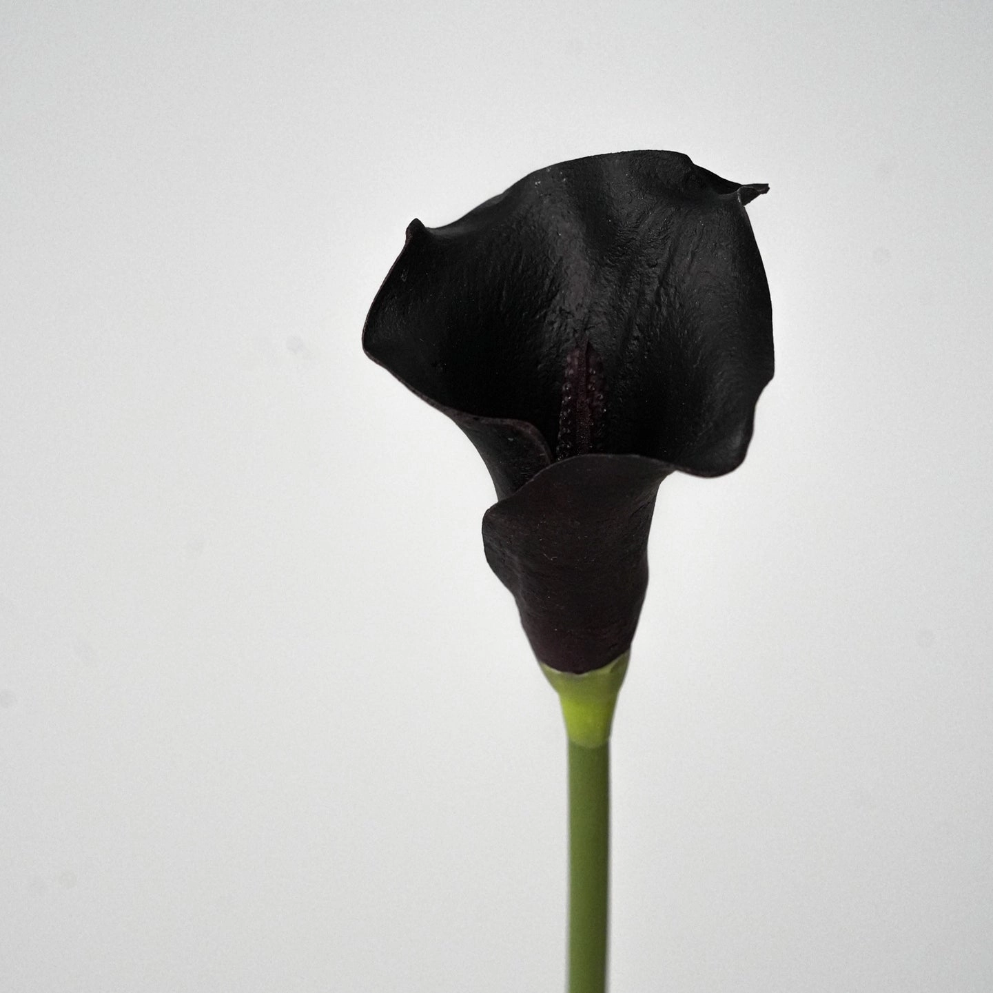 Calla Lily Artificial Real Touch Flower 70cm Stem 3 Color Selections CALLALILY1-3