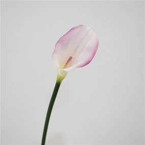 Calla Lily Artificial Silk Flower 75cm Stem 3 Color Selections CALLALILY001-003,dried artificial flower