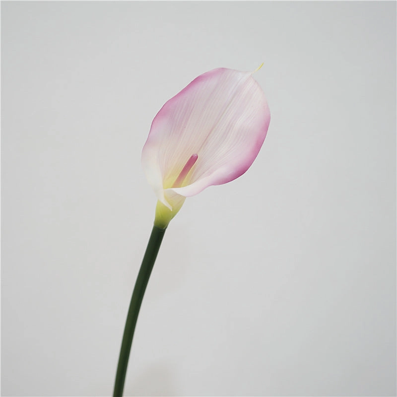 Calla Lily Artificial Silk Flower 75cm Stem 3 Color Selections CALLALILY001-003,dried artificial flower