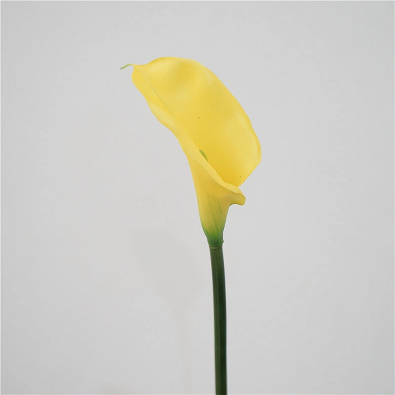 Calla Lily Artificial Silk Flower Short 75cm Stem yellow CALLALILY003,dried artificial flower