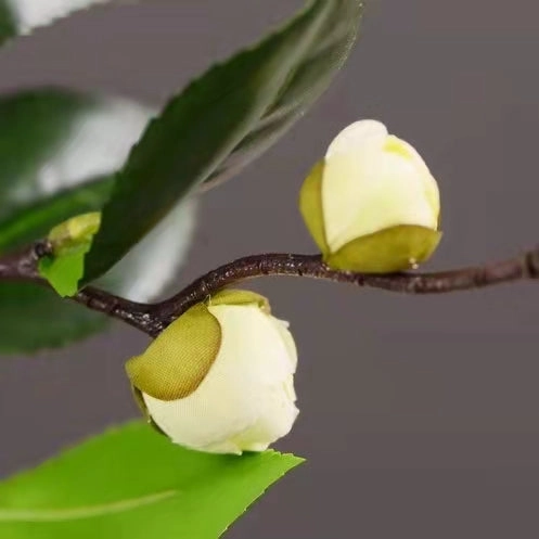 Camellia Artificial Silk Flowers 58cm Stem White CAMELLIA001