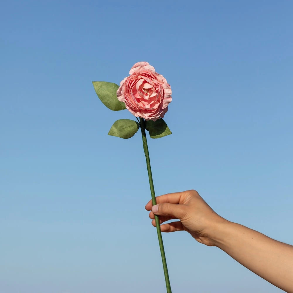 Camlia en papier rose ple