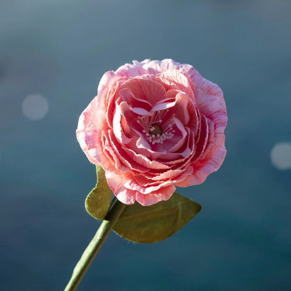 Camlia en papier rose ple