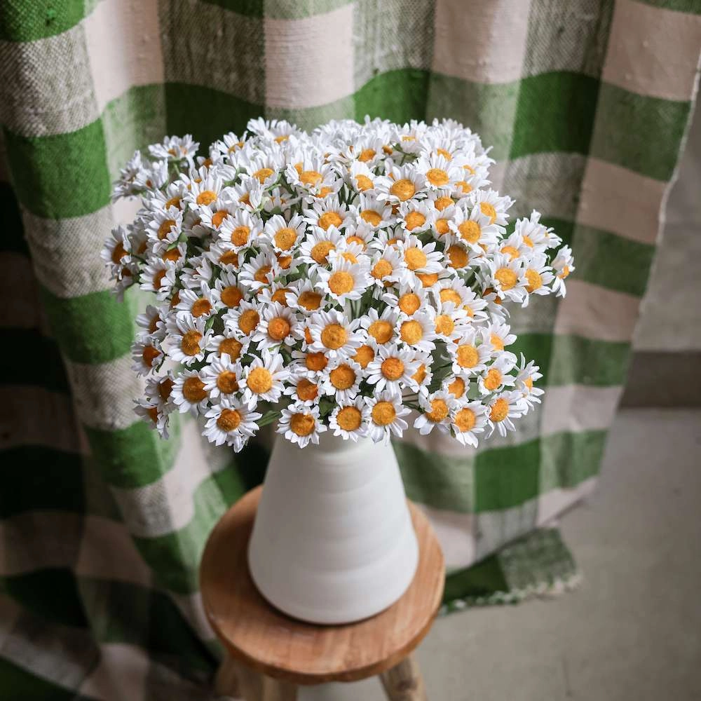 Camomille en papier