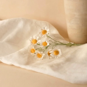 Camomille en papier,mother's day bouquet