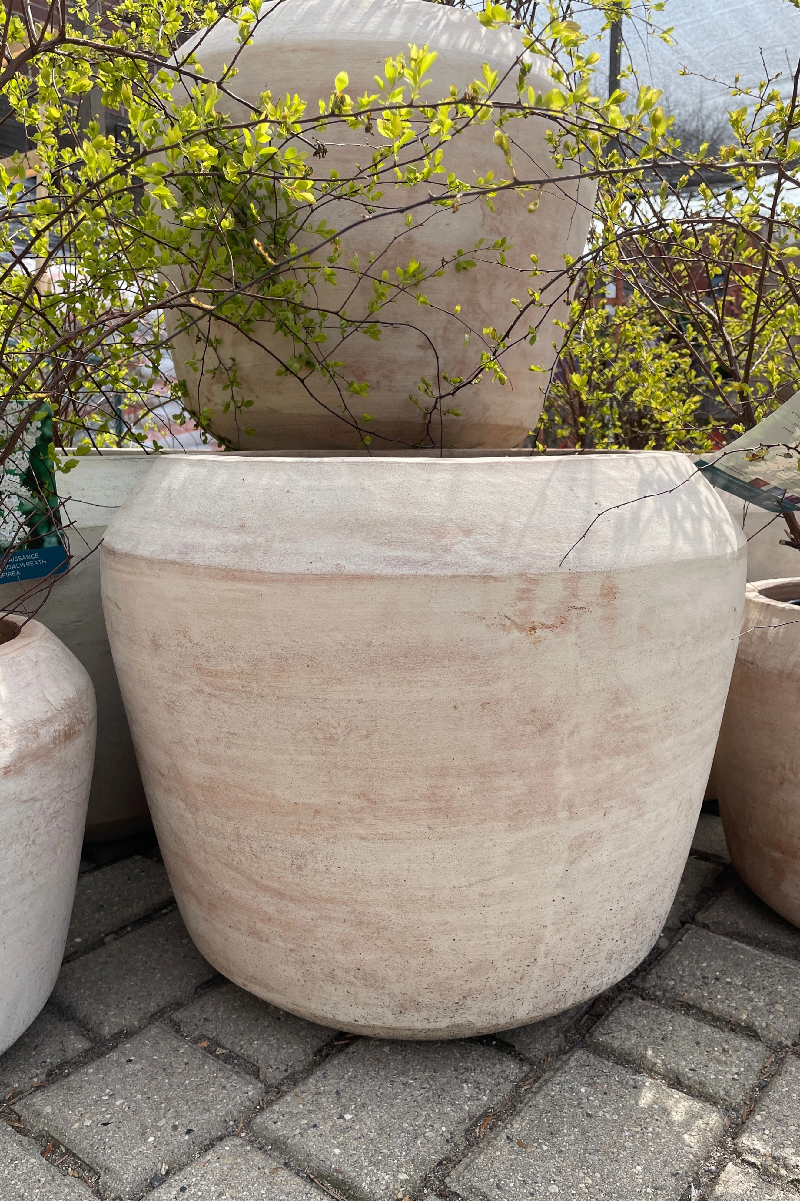 Cape Unglazed Planter Large