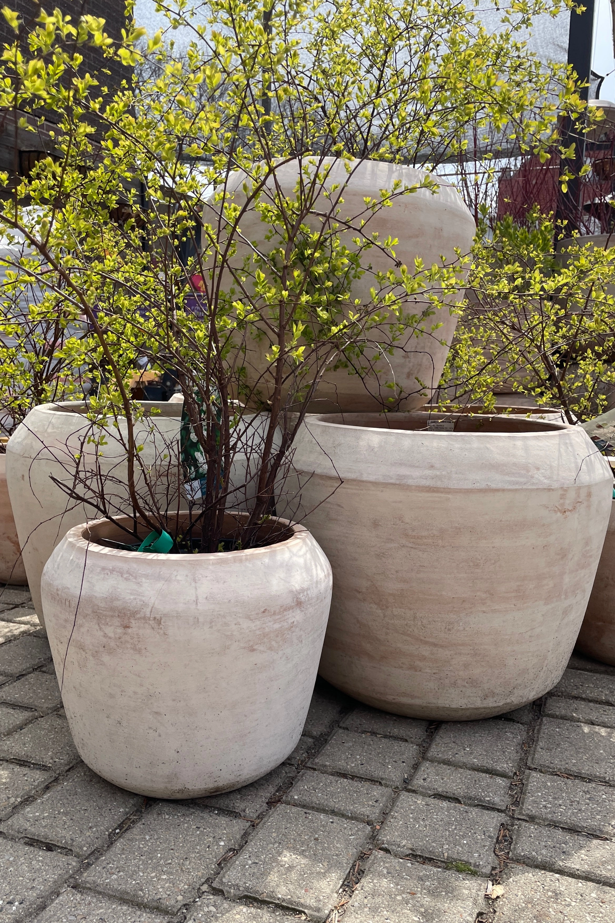Cape Unglazed Planter Large,indoor flower container