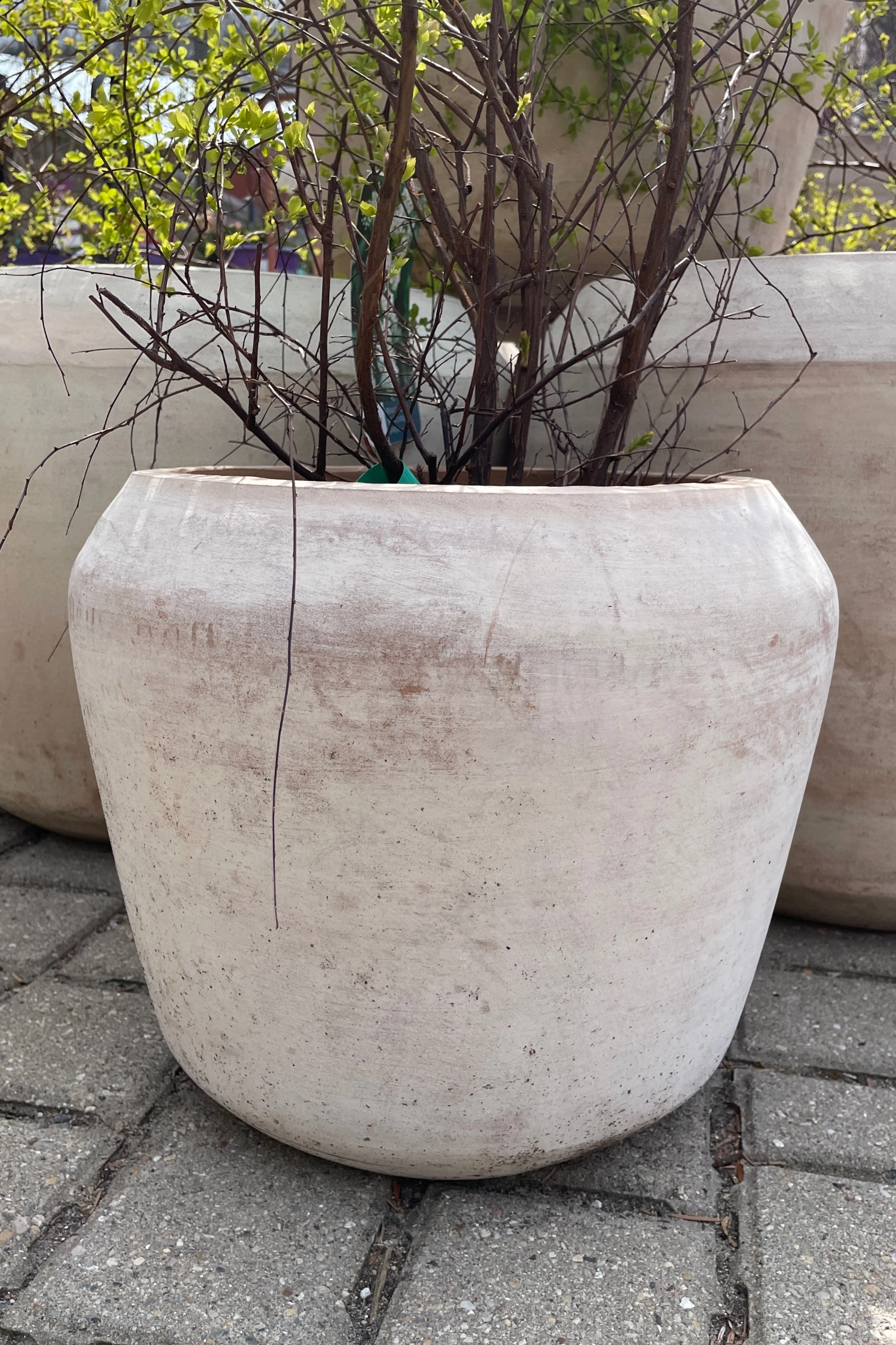 Cape Unglazed Planter Small