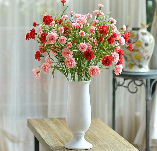 Carnation (Pink) 5215BDB11
