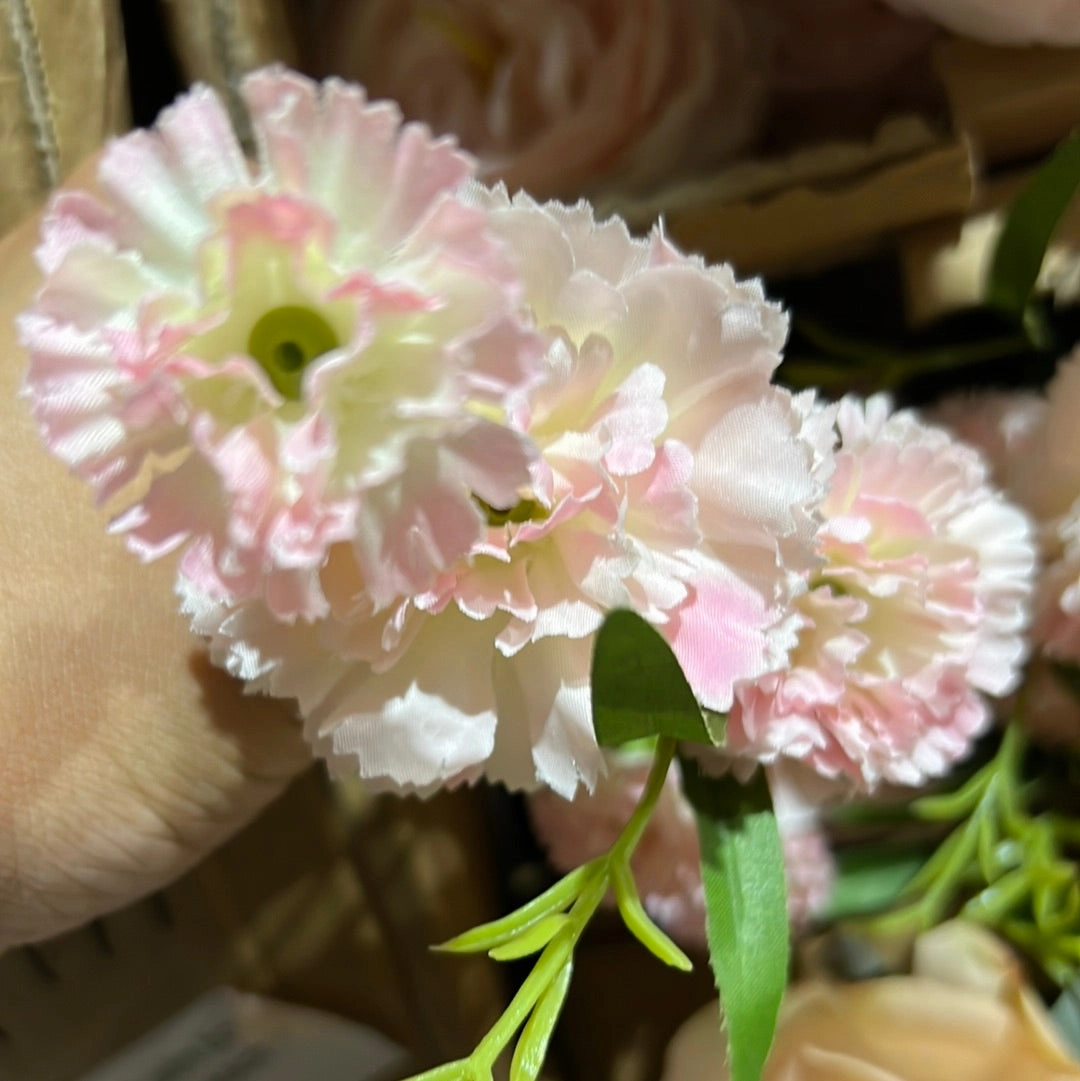Carnation (Pink) 5215BDB11