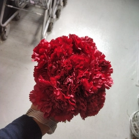 Carnation Red Bunch realistic flower bouquet  