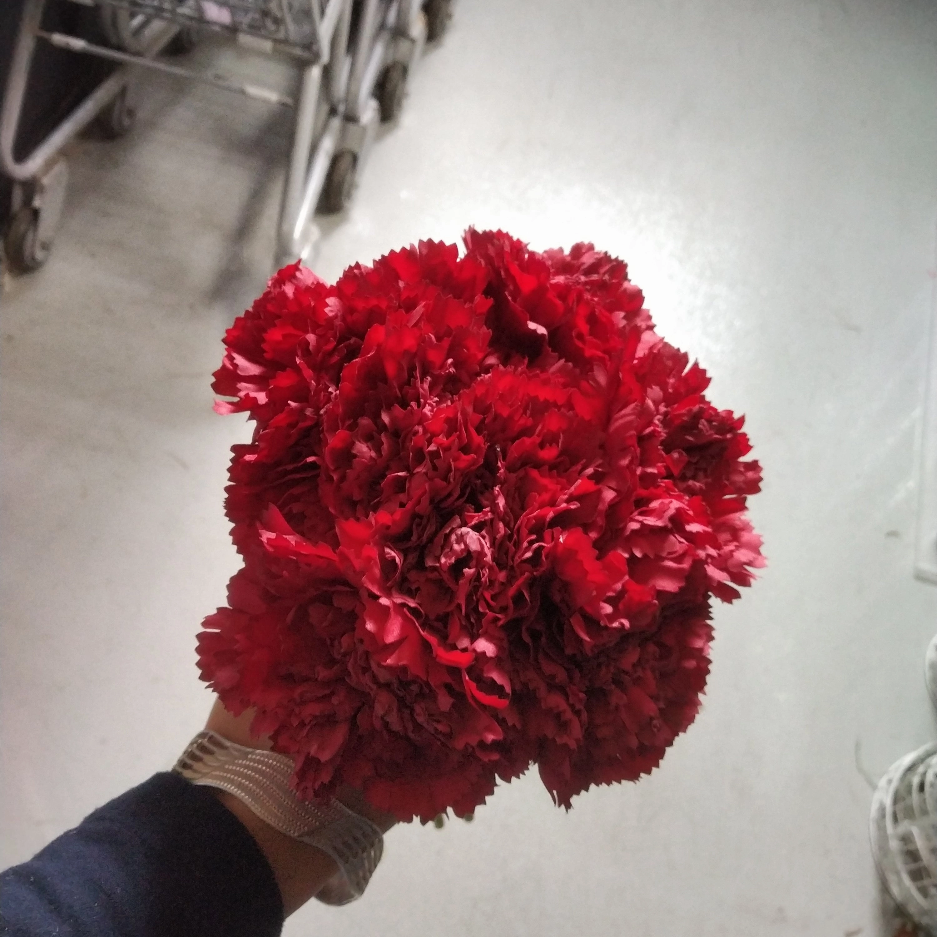 Carnation Red Bunch realistic flower bouquet  