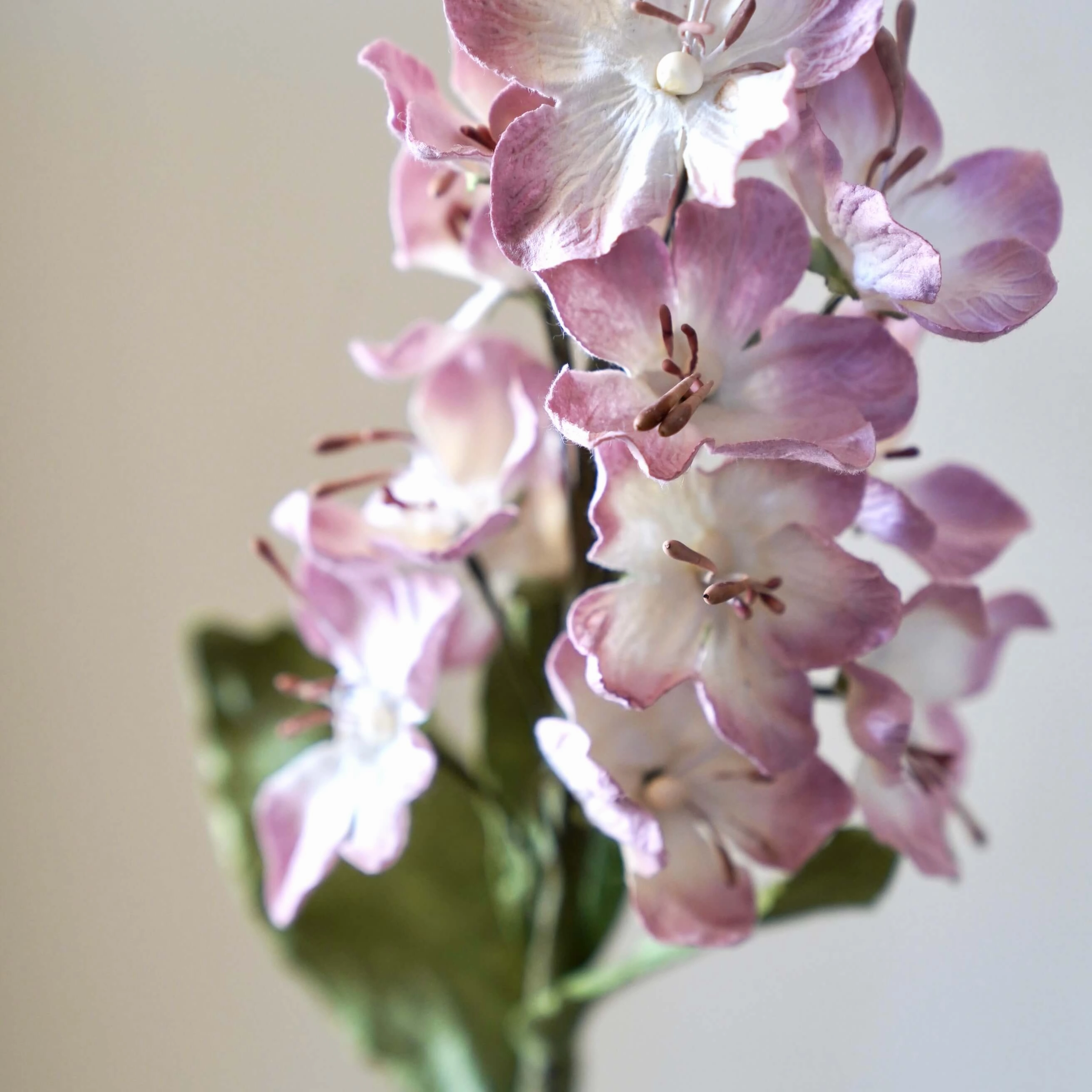 Cassier en papier rose