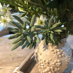 Celadon Cats Paw Spray 76cm,dried artificial flower