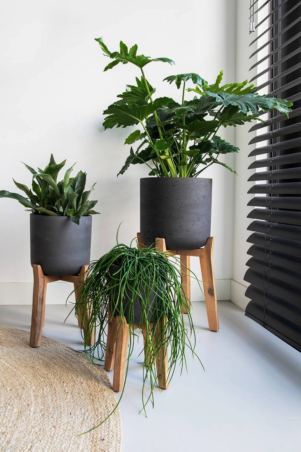 Charlie Pot & High Stand Black Washed XL