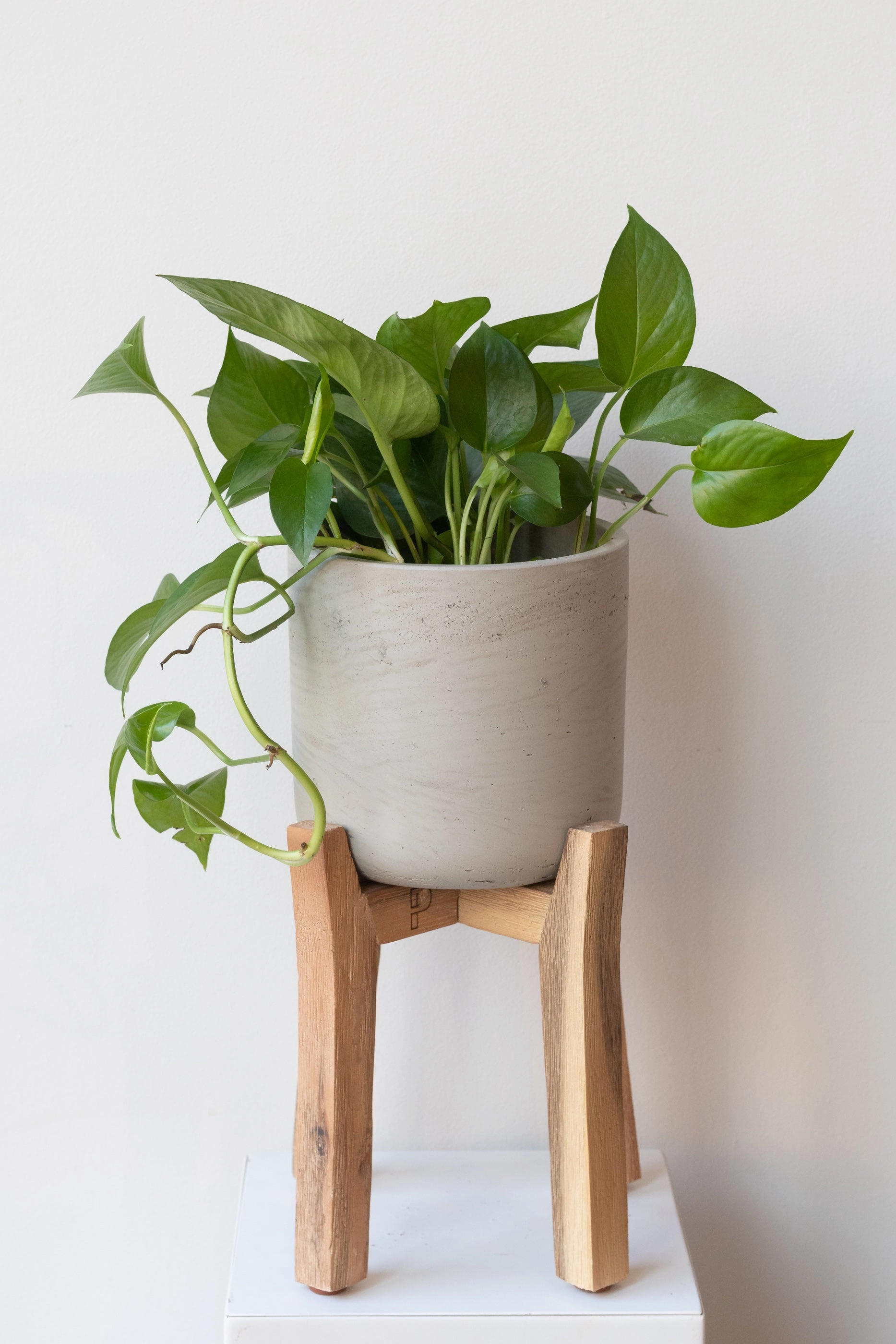 Charlie Pot & High Stand Grey Washed Medium