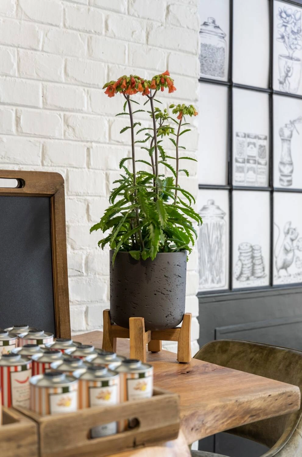 Charlie Pot & Low Stand Black Washed Medium