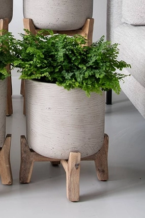 Charlie Pot & Low Stand Grey Washed Medium,indoor flower container