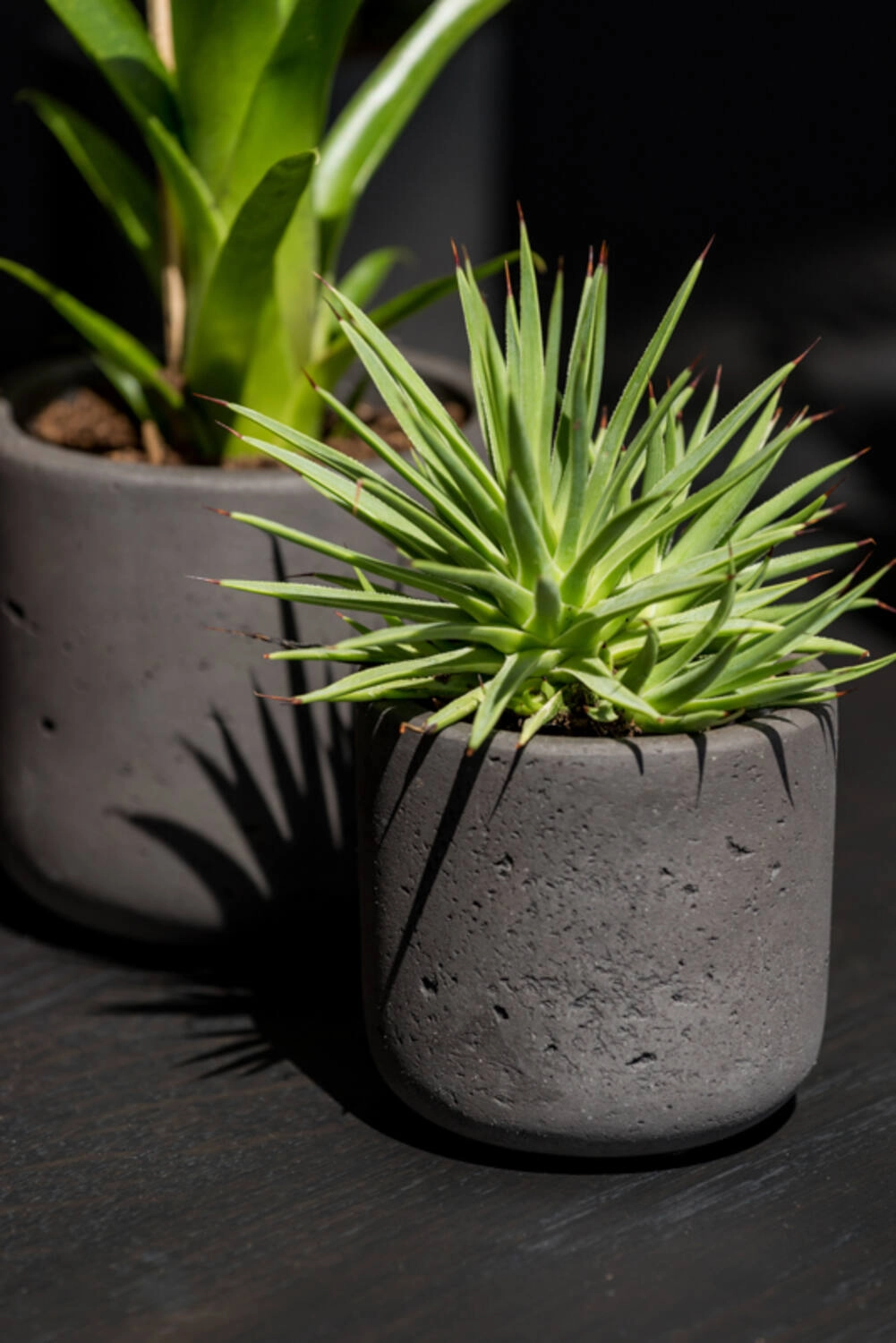 Charlie Pot Black Washed XS