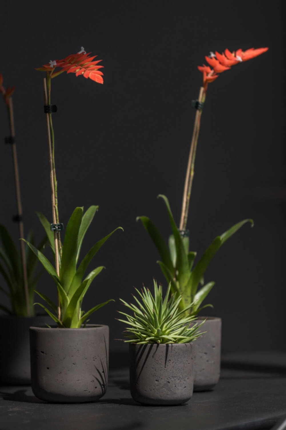 Charlie Pot Black Washed XS