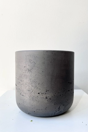 Charlie Pot Black Washed XS,indoor flower container