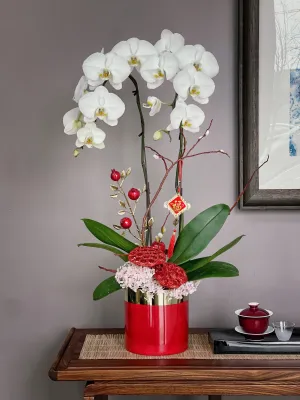 Chinese New Year Orchid Planter,realistic flower bouquet 