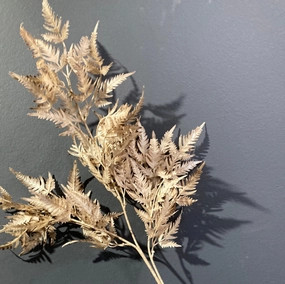 Chocolate brown Flame greenery filler realistic flower bouquet  