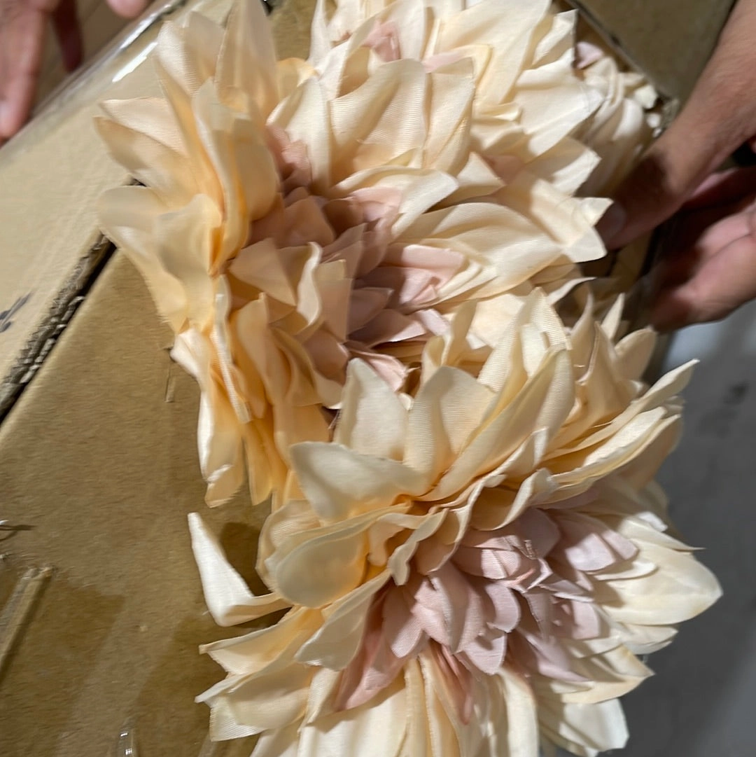 Chocolate Dahlia Bunch