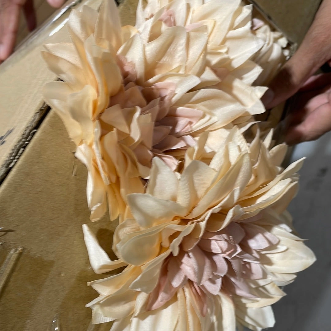 Chocolate Dahlia Bunch