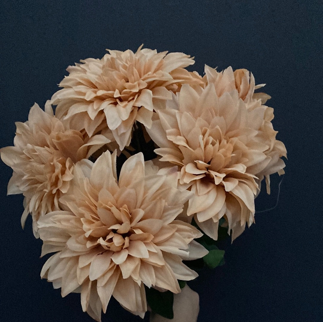 Chocolate Dahlia Bunch