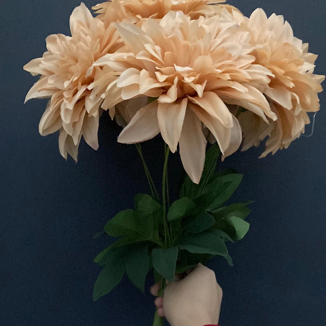 Chocolate Dahlia Bunch