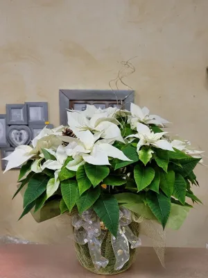 Christmas No.17,faux bloom stem 