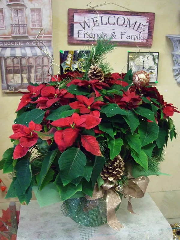 Christmas No.20,faux bloom stem 